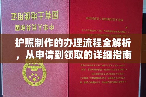 名山护照制作的办理流程全解析，从申请到领取的详细指南