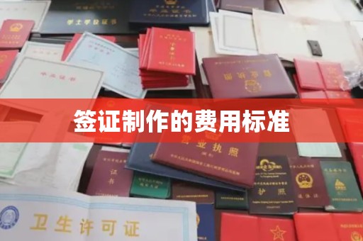 名山签证制作的费用标准