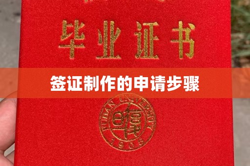 名山签证制作的申请步骤